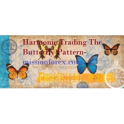 Harmonic Trading The Butterfly Pattern SMB Training – John Locke – The M3 (Total size: 5.22 GB Contains: 14 files)